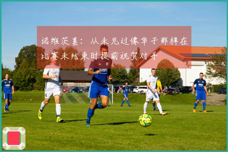 诺维茨基：从未见过像华子那样在比赛未结束时提前祝贺对手